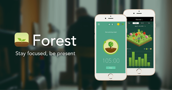 1 forest