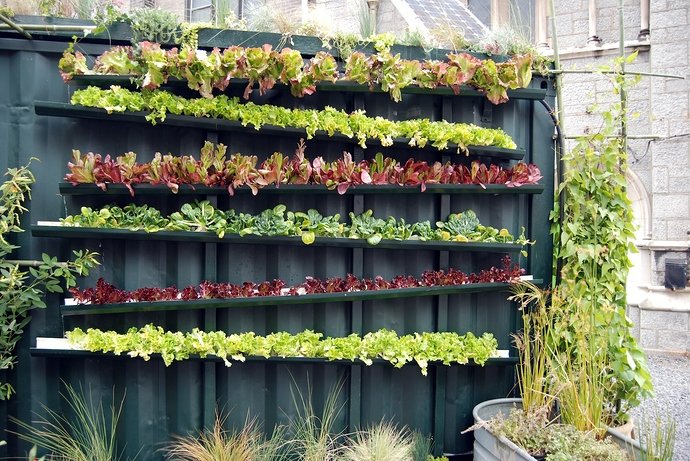 vertical-vegetable-garden-ideas