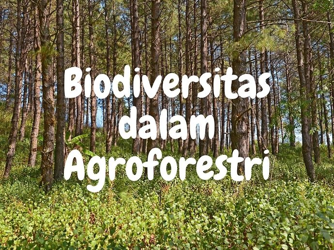 Biodiversitas dalam Agroforestri