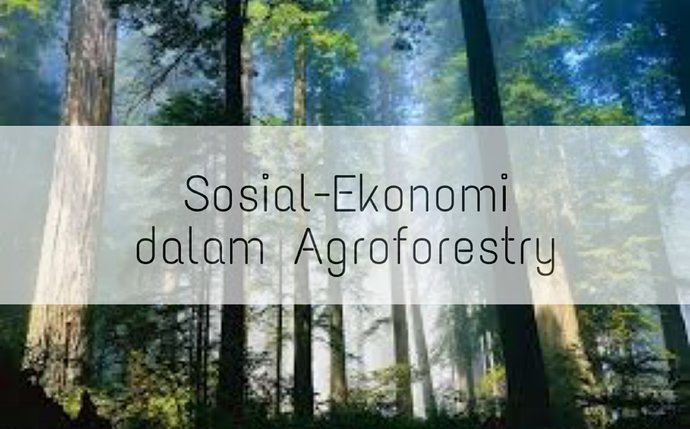 Sosial-Ekonomi Agroforestri