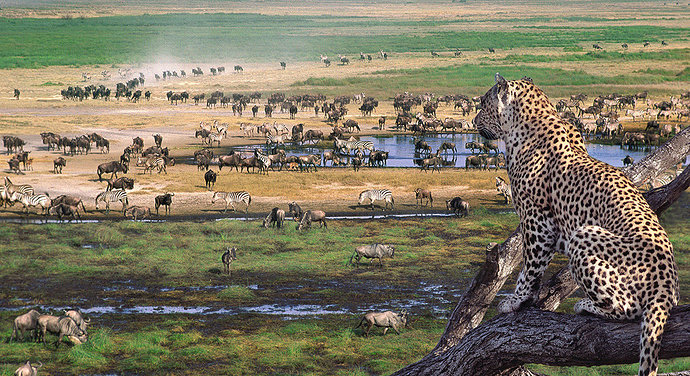 Taman Nasional Serengeti