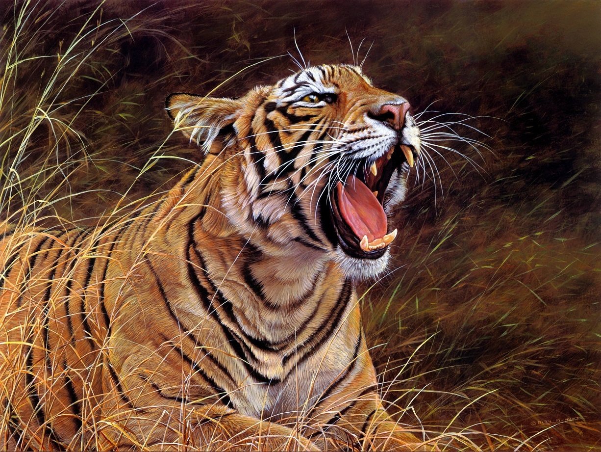 Manakah Lukisan Harimau yang terbaik menurut anda Seni 