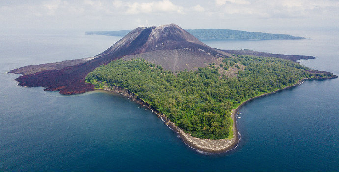 flora fauna di cagar alam krakatau