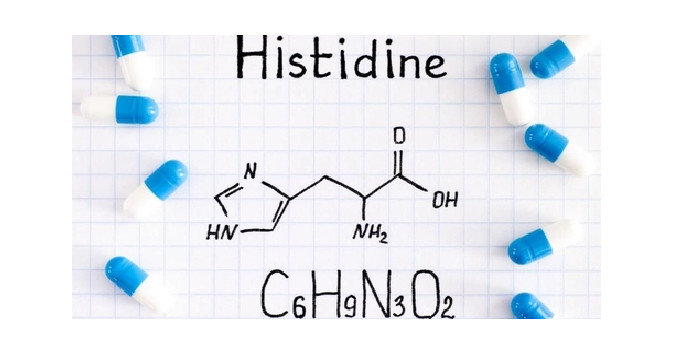 Histidin