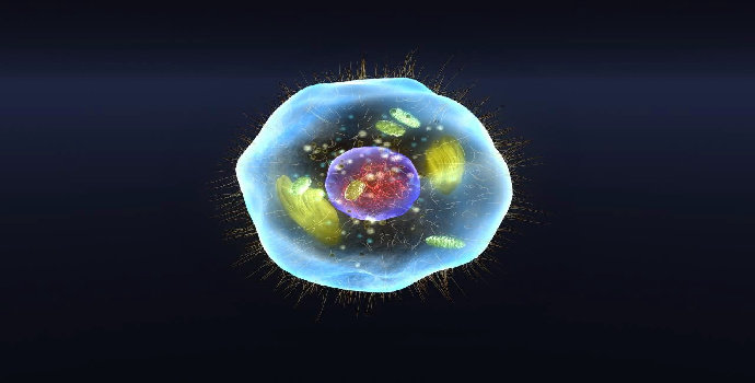 ikatan kimia molekul biologi sel