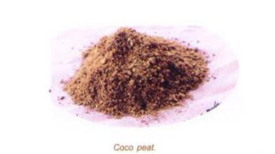 coco peat