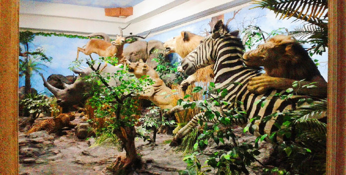 wisata Rahmat International Wildlife Museum & Gallery