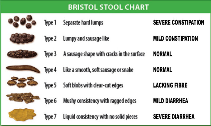 Bristol stool chart