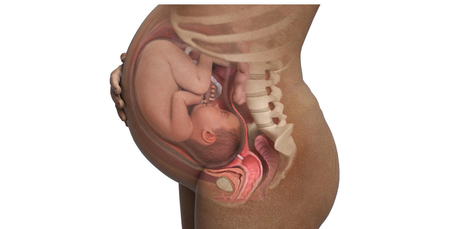 3 беременность 35 недель. Расположение ребенка в утробе.