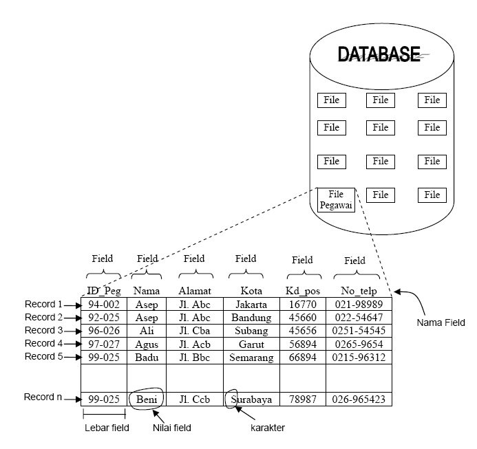 Contoh Struktur Database Jaringan Basis Data Model Jaringan Materi Images