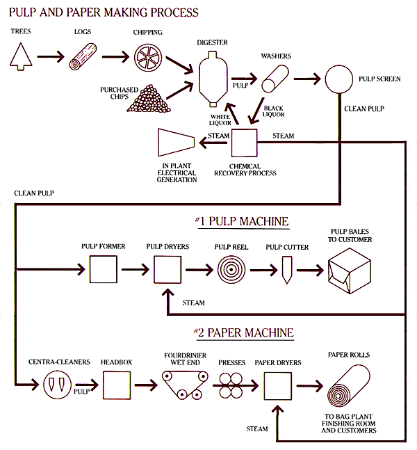 Bagaimana proses  pembuatan kertas Kimia Dictio Community