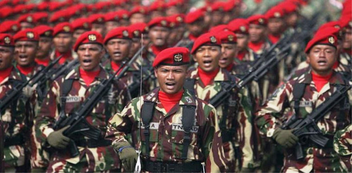 Tentara Nasional Indonesia