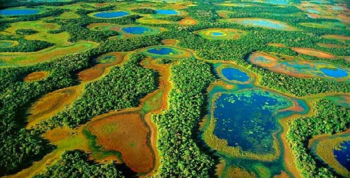Flora fauna di Pantanal