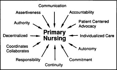 primary nursing