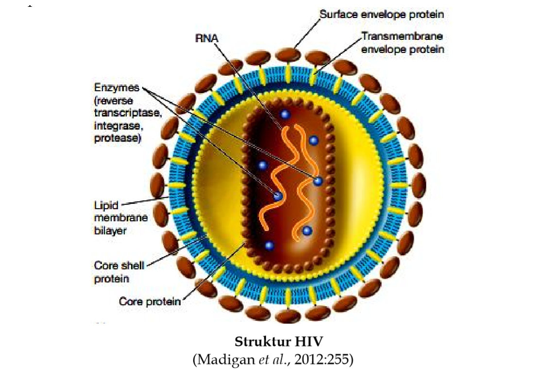 Human immunodeficiency virus 1