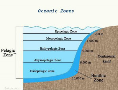 daerah (zone) batipelagik