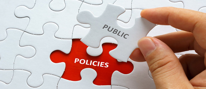 Model institusional kebijakan publik