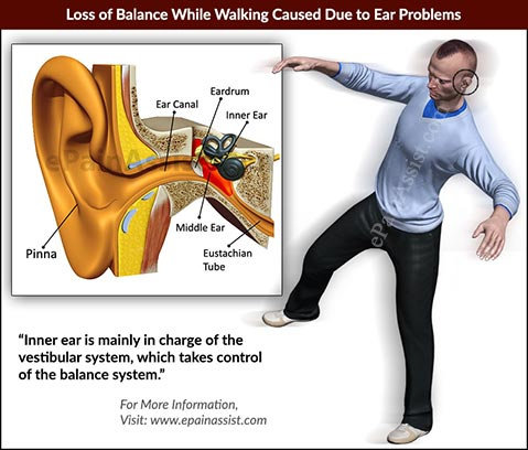 telinga dan keseimbangan