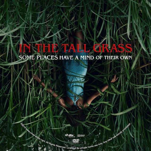In the Tall Grass 2019