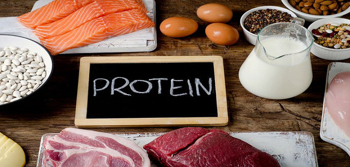Apa yang Anda ketahui tentang protein? - Ilmu Gizi - Dictio Community