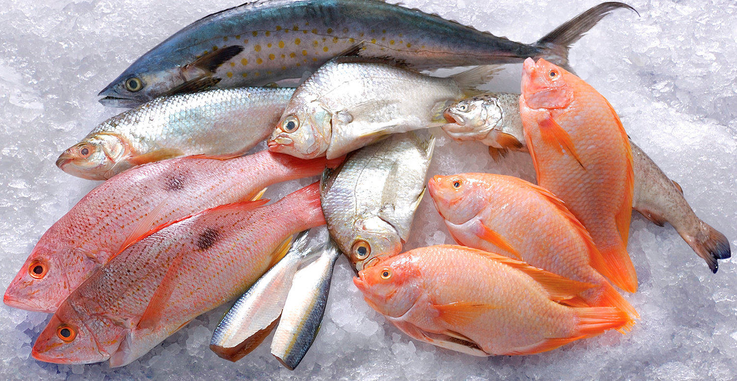 Bahan alami apa saja yang dapat digunakan untuk pengawetan ikan