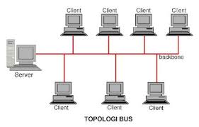 topologi bus