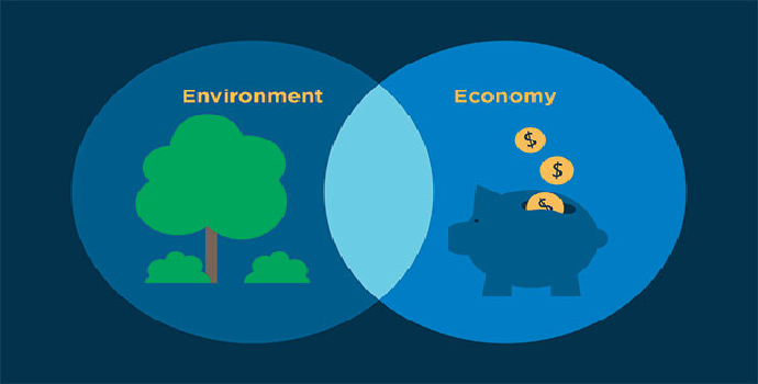 Apa saja jenis pemanfaatan instrumen ekonomi untuk kebijakan lingkungan hidup ?