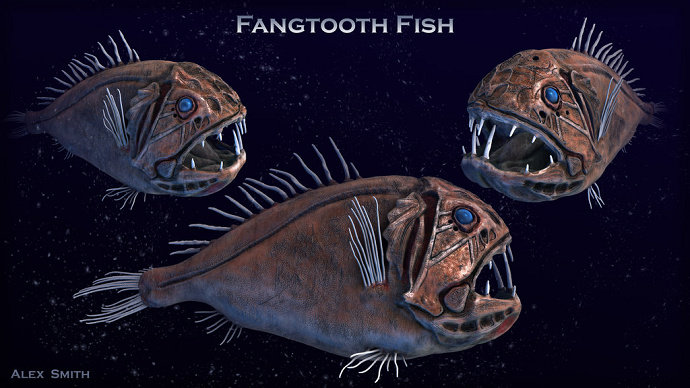 ikan Fangtooth