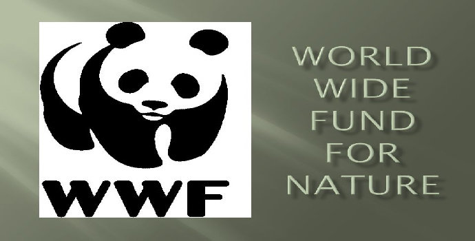 tujuan WWF