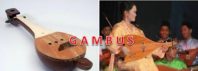 Fungsi Alat Musik Tradisional Gambus