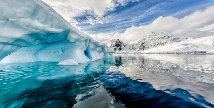 perenang lautan antartika
