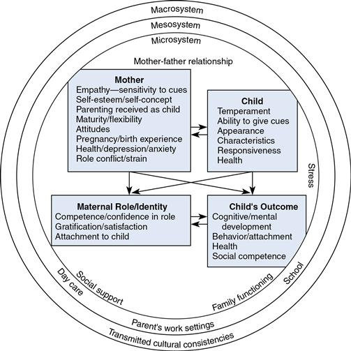 Model of Maternal Role Attaiment