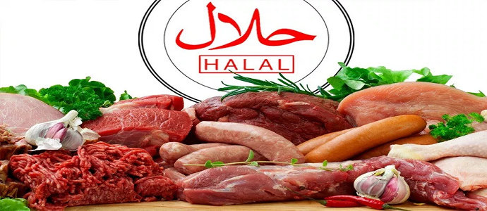4400 Gambar Hewan Halal Menurut Islam Terbaru