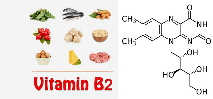 Apa Saja Jenis Jenis Vitamin B Dan Fungsinya Ilmu Gizi Dictio 