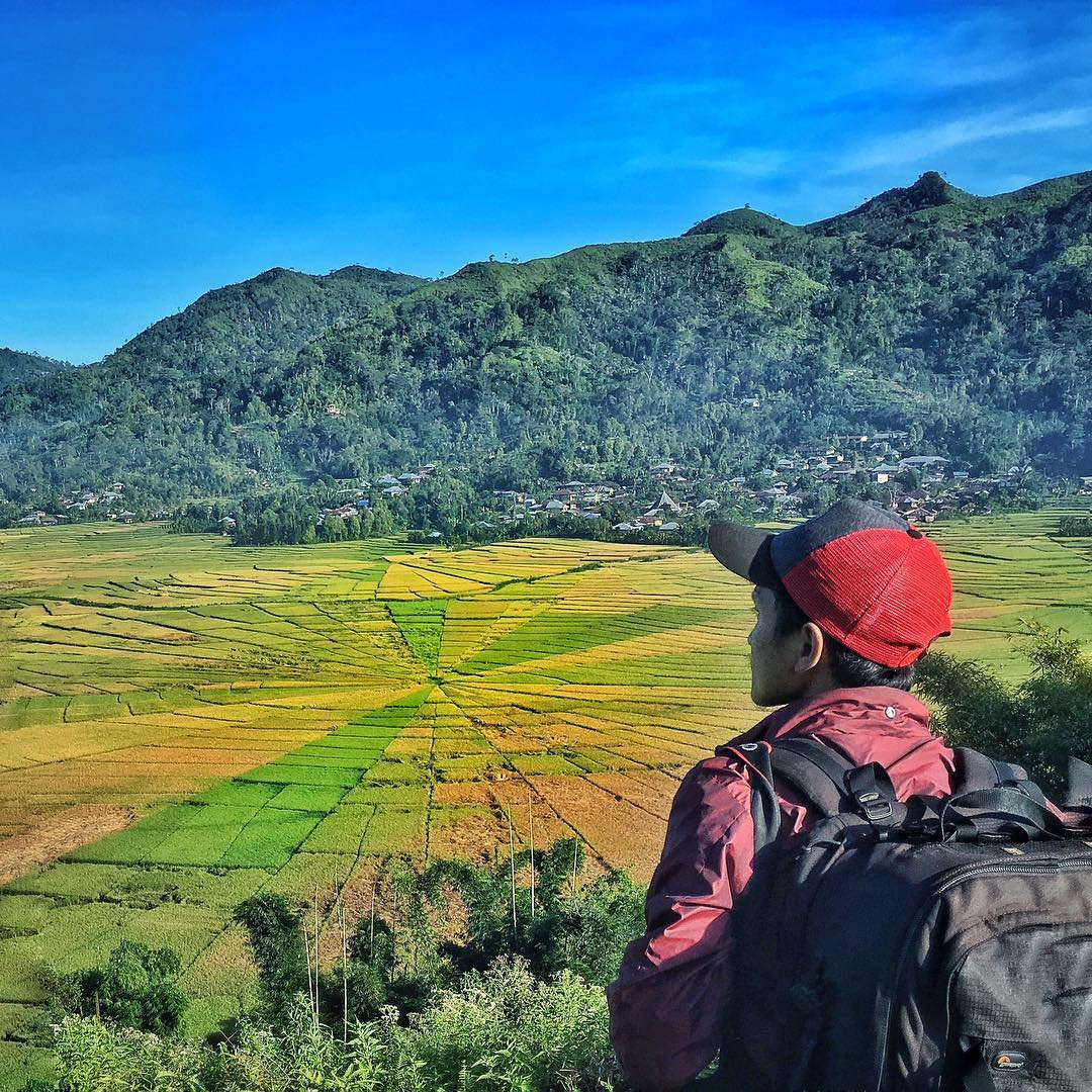 Ladang Sawah Terindah Di Indonesia Yang Bisa Dikunjungi Saat
