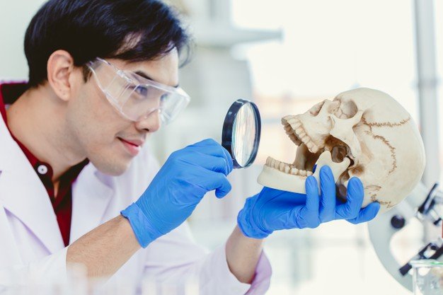 scientist-physical-anthropology-biological-science-lab-studying-human-bone-looking_43300-2035